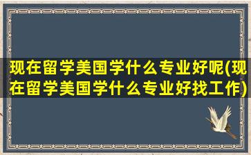 现在留学美国学什么专业好呢(现在留学美国学什么专业好找工作)