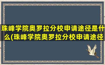 珠峰学院奥罗拉分校申请途径是什么(珠峰学院奥罗拉分校申请途径是什么样的)