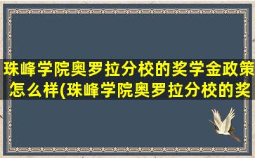 珠峰学院奥罗拉分校的奖学金政策怎么样(珠峰学院奥罗拉分校的奖学金政策如何)