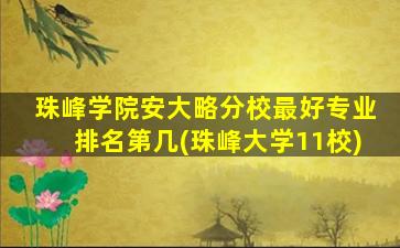 珠峰学院安大略分校最好专业排名第几(珠峰大学11校)