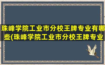 珠峰学院工业市分校王牌专业有哪些(珠峰学院工业市分校王牌专业排名)