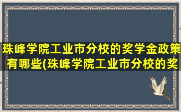 珠峰学院工业市分校的奖学金政策有哪些(珠峰学院工业市分校的奖学金政策怎么样)