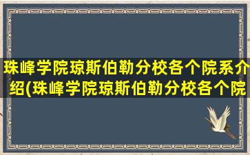 珠峰学院琼斯伯勒分校各个院系介绍(珠峰学院琼斯伯勒分校各个院系介绍图)