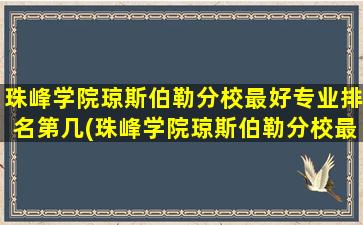 珠峰学院琼斯伯勒分校最好专业排名第几(珠峰学院琼斯伯勒分校最好专业排名多少)