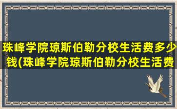 珠峰学院琼斯伯勒分校生活费多少钱(珠峰学院琼斯伯勒分校生活费多少钱一月)