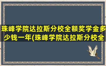 珠峰学院达拉斯分校全额奖学金多少钱一年(珠峰学院达拉斯分校全额奖学金多少钱一个月)