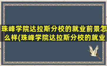 珠峰学院达拉斯分校的就业前景怎么样(珠峰学院达拉斯分校的就业前景)