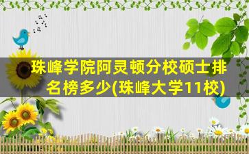 珠峰学院阿灵顿分校硕士排名榜多少(珠峰大学11校)