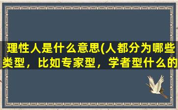 理性人是什么意思(人都分为哪些类型，比如专家型，学者型什么的)