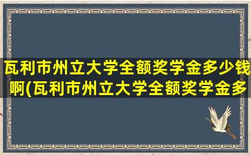 瓦利市州立大学全额奖学金多少钱啊(瓦利市州立大学全额奖学金多少钱一个月)