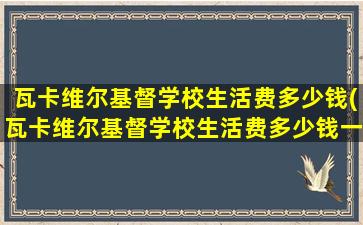 瓦卡维尔基督学校生活费多少钱(瓦卡维尔基督学校生活费多少钱一年)