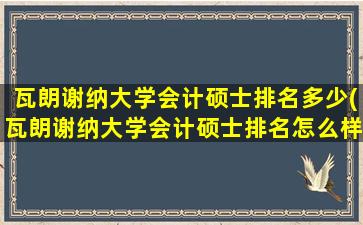 瓦朗谢纳大学会计硕士排名多少(瓦朗谢纳大学会计硕士排名怎么样)