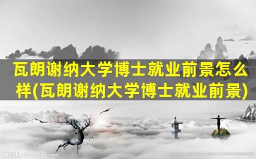 瓦朗谢纳大学博士就业前景怎么样(瓦朗谢纳大学博士就业前景)