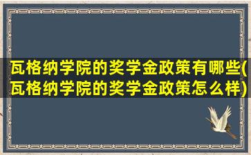 瓦格纳学院的奖学金政策有哪些(瓦格纳学院的奖学金政策怎么样)