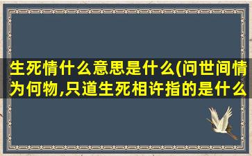 生死情什么意思是什么(问世间情为何物,只道生死相许指的是什么)