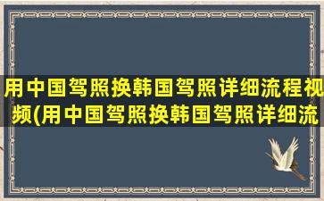 用中国驾照换韩国驾照详细流程视频(用中国驾照换韩国驾照详细流程是什么)