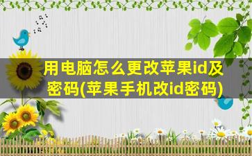 用电脑怎么更改苹果id及密码(苹果手机改id密码)