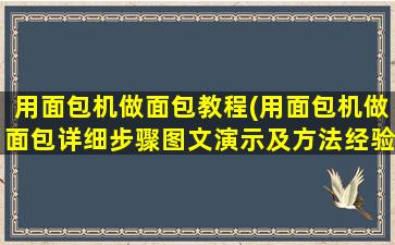 用面包机做面包教程(用面包机做面包详细步骤图文演示及方法经验总结)