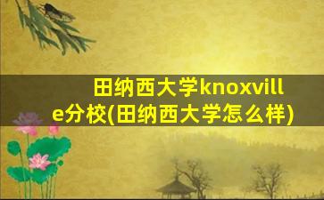 田纳西大学knoxville分校(田纳西大学怎么样)