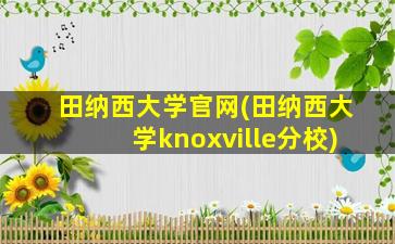 田纳西大学官网(田纳西大学knoxville分校)