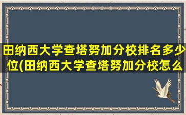 田纳西大学查塔努加分校排名多少位(田纳西大学查塔努加分校怎么样)