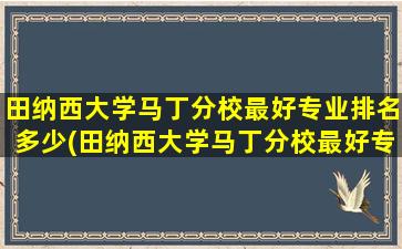 田纳西大学马丁分校最好专业排名多少(田纳西大学马丁分校最好专业排名第几)