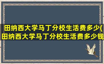 田纳西大学马丁分校生活费多少(田纳西大学马丁分校生活费多少钱一个月)