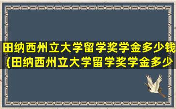 田纳西州立大学留学奖学金多少钱(田纳西州立大学留学奖学金多少钱一个月)