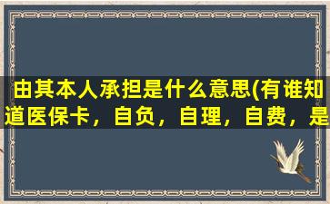 由其本人承担是什么意思(有谁知道医保卡，自负，自理，自费，是什么意思)