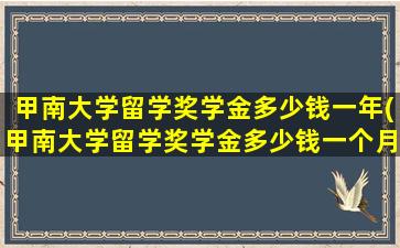 甲南大学留学奖学金多少钱一年(甲南大学留学奖学金多少钱一个月)