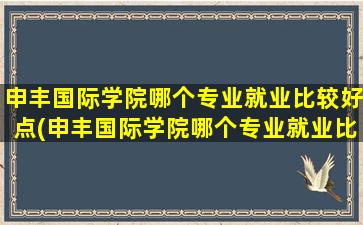 申丰国际学院哪个专业就业比较好点(申丰国际学院哪个专业就业比较好呢)