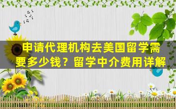 申请代理机构去美国留学需要多少钱？留学中介费用详解