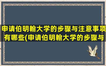 申请伯明翰大学的步骤与注意事项有哪些(申请伯明翰大学的步骤与注意事项是什么)