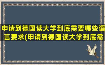 申请到德国读大学到底需要哪些语言要求(申请到德国读大学到底需要哪些语言呢)