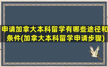 申请加拿大本科留学有哪些途径和条件(加拿大本科留学申请步骤)