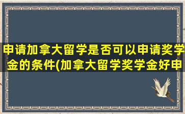 申请加拿大留学是否可以申请奖学金的条件(加拿大留学奖学金好申请吗)