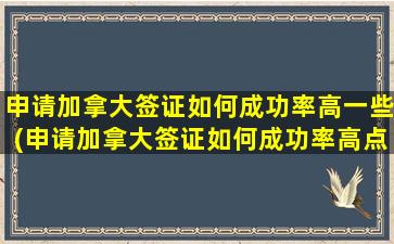 申请加拿大签证如何成功率高一些(申请加拿大签证如何成功率高点)