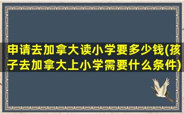 申请去加拿大读小学要多少钱(孩子去加拿大上小学需要什么条件)