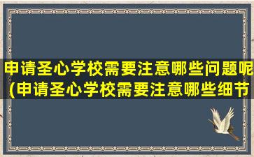 申请圣心学校需要注意哪些问题呢(申请圣心学校需要注意哪些细节)