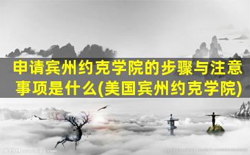 申请宾州约克学院的步骤与注意事项是什么(美国宾州约克学院)