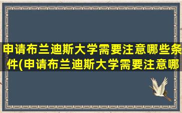 申请布兰迪斯大学需要注意哪些条件(申请布兰迪斯大学需要注意哪些细节)