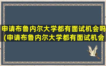 申请布鲁内尔大学都有面试机会吗(申请布鲁内尔大学都有面试机会吗为什么)