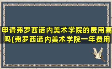 申请弗罗西诺内美术学院的费用高吗(弗罗西诺内美术学院一年费用)