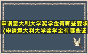 申请意大利大学奖学金有哪些要求(申请意大利大学奖学金有哪些证书)