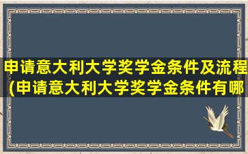 申请意大利大学奖学金条件及流程(申请意大利大学奖学金条件有哪些)