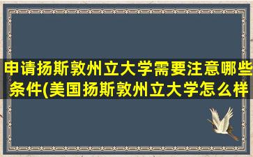 申请扬斯敦州立大学需要注意哪些条件(美国扬斯敦州立大学怎么样)