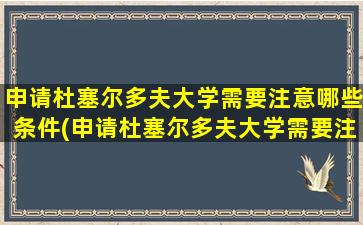 申请杜塞尔多夫大学需要注意哪些条件(申请杜塞尔多夫大学需要注意哪些细节)