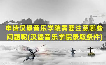 申请汉堡音乐学院需要注意哪些问题呢(汉堡音乐学院录取条件)