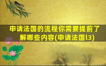 申请法国的流程你需要提前了解哪些内容(申请法国l3)