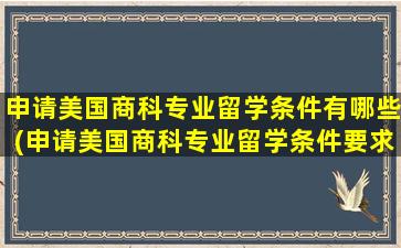 申请美国商科专业留学条件有哪些(申请美国商科专业留学条件要求)